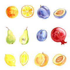 watercolor drawing set of fruits isolated at white background, hand drawn botanical illustration