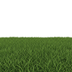 green grass on a white background