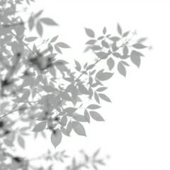 shadow overlay effect. Gray shadow of leaves isolated on white background. Plant foliage leaf shadow light effect. Mockup Blurred tree branch shadow. Ideal for summer spring design elements PNG