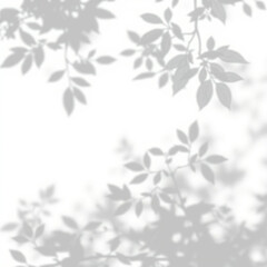 shadow overlay effect. Gray shadow of leaves isolated on white background. Plant foliage leaf shadow light effect. Mockup Blurred tree branch shadow. Ideal for summer spring design elements PNG