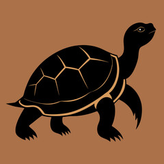 turtle vector illustration