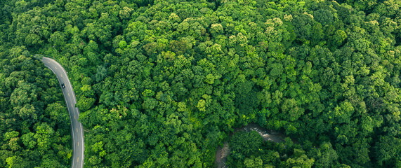 Rainforest ecosystem and healthy environment concept , Road in the middle of the forest , road curve construction up to mountain.