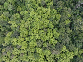 Naklejka premium Top View Aerial Photograph