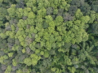 Naklejka premium Top View Aerial Photograph