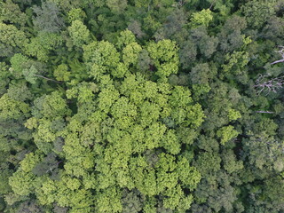 Naklejka premium Top View Aerial Photograph