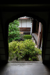 妙心寺塔頭桂春院の庭