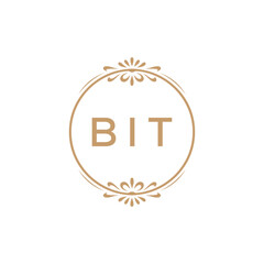 Elegant Monogram Logo Design with Decorative Frame – BIT Luxury Brand Identity Icon
