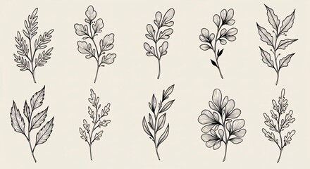 Elegant Line Art Floral Illustrations Flowers, Leaves & Botanical Elements