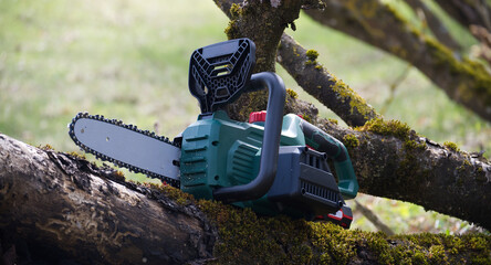 Green chainsaw sits on a tree branch covered in moss, ready for any project requiring wood cutting