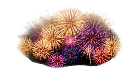 Vivid fireworks explode in a cluster with colors ranging from gold to purple against a black background
