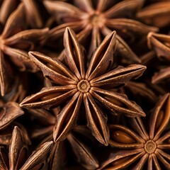 Star anise spice close up aromatic culinary ingredient for cooking baking and flavoring