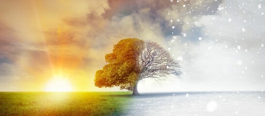 Naklejka premium Autumn changing into Winter