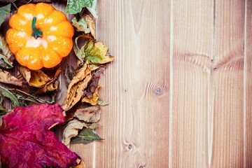 Overhead view of thanksgiving decoration with pumpkin
