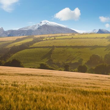 Fototapeta Country scene with mountain