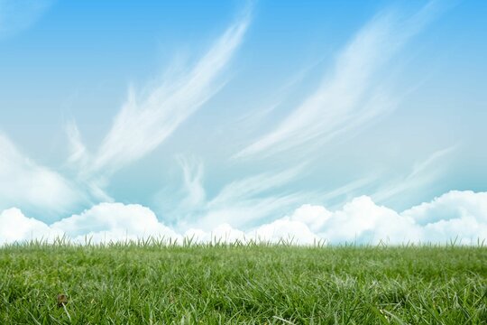 Fototapeta Blue sky over green field