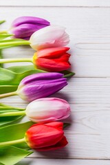Six flat design tulip blossoms are lying with green stems on white painted plank showing grain