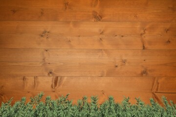 Green twigs against wooden wall