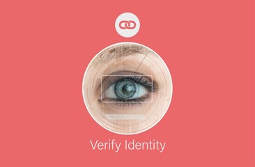 Presenting flat UI on coral pink background: eye-scan or reticle or chain-link icon or Verify Identi
