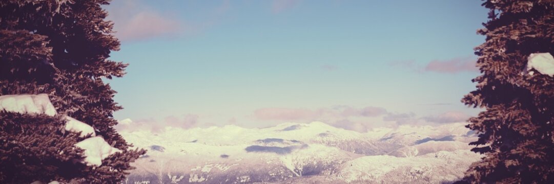 Fototapeta Snowcapped and forest during winter