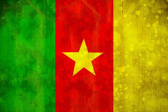 Naklejki Cameroon flag in grunge effect