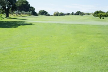Golf course fairway is stretching across flat design scene with lush grass and border trees