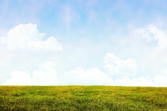 Fototapeta Digital image of grassy field
