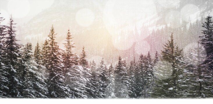 Fototapeta Defocused lights against snow covered trees and mountain