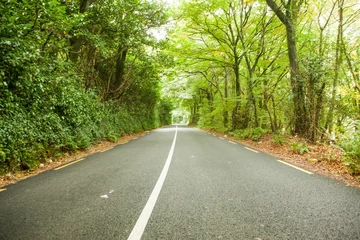 Vitrage gordijnen Straight two-lane asphalt road is extending in flat design with white centerline tree-lined edges © vectorfusionart