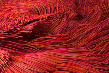 Close up of red fiber optic