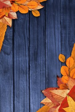 Fototapeta Flat design blue wooden plank surface is being framed by vibrant orange autumn leaves, copy space