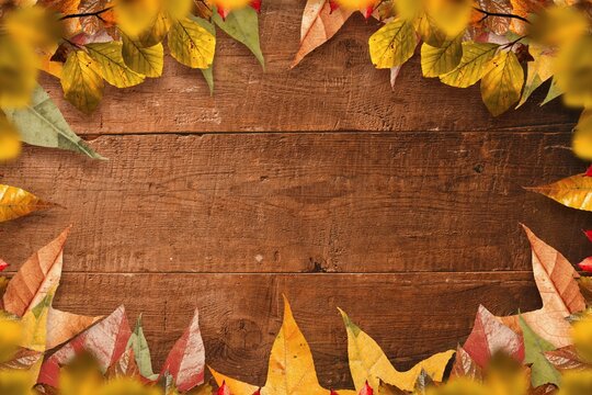 Fototapeta Flat design wooden plank surface is forming warm autumn frame with scattered colorful leaves