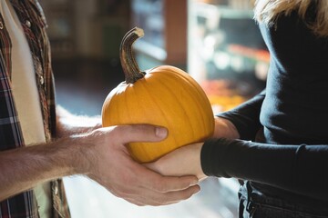 Couple at the pumpkin patch © vectorfusionart
