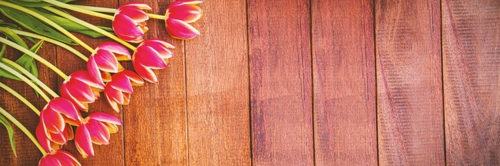 Pink tulip blossoms with green stems are lying diagonally on warm wooden tabletop in flat design