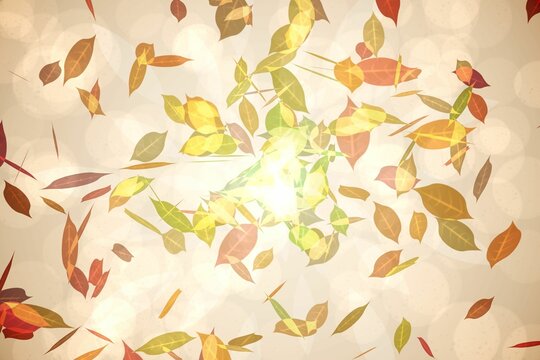 Fototapeta Autumnal leaf pattern in warm tones