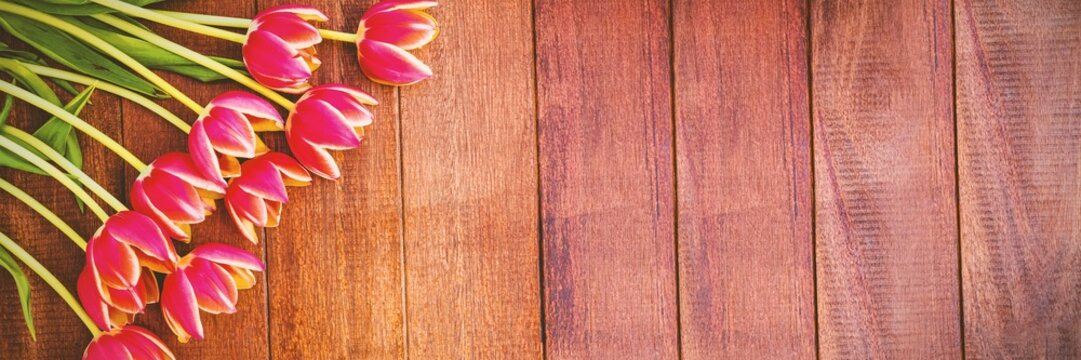 Fototapeta Pink tulip blossoms with green stems are lying diagonally on warm wooden tabletop in flat design