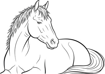Detailed Black and White Line Art Drawing of a Horse Lying Down, Elegant Animal Outline, Ideal for Coloring Books and Equestrian Themes