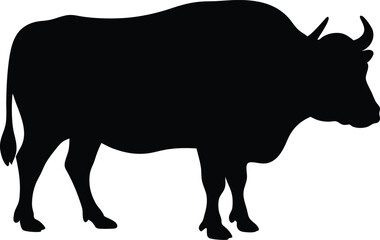ox silhouette vector illustration, cow black symbol, bull isolated  