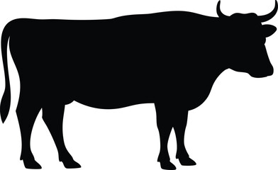 ox silhouette vector illustration, cow black symbol, bull isolated  