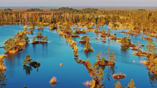 Forward drone flight over reflective marsh waters in Kemeri Park during sunrise