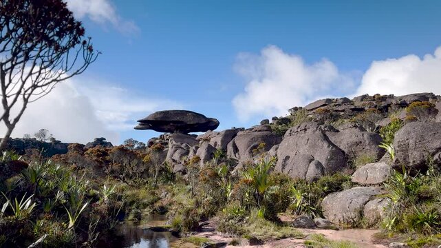 Unique balancing rock formation and endemic vegetation under blue sky on Mount Roraima, Venezuela.