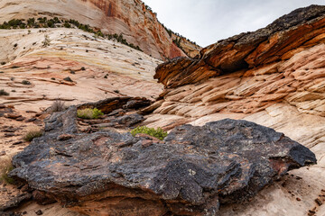 Zion National Park, Utah. Navajo Sandstone / Sedimentary rocks, Weathering.  iron-rich layers / Iron-rich sedimentary rocks / ironstone blocks, 