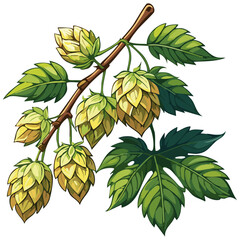 Hop cones on a branch color vector illustration. Image of an ingredient for beer with leaves on an isolated background. For packaging and design