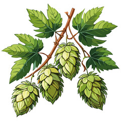 Hop cones on a branch color vector illustration. Image of an ingredient for beer with leaves on an isolated background. For packaging and design