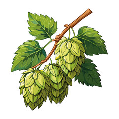 Hop cones on a branch color vector illustration. Image of an ingredient for beer with leaves on an isolated background. For packaging and design