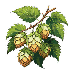Hop cones on a branch color vector illustration. Image of an ingredient for beer with leaves on an isolated background. For packaging and design