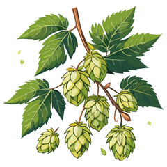 Hop cones on a branch color vector illustration. Image of an ingredient for beer with leaves on an isolated background. For packaging and design