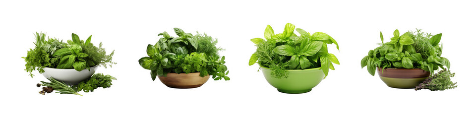 Set of Fresh Green Herbs and Leafy Vegetables Isolated on transparent background PNG