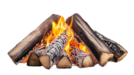 Bonfire with glowing embers and dry wood Transparent background, PNG