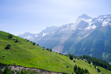 Fototapeta premium Beautiful view with scenic landscape in the Swiss Alps at Lötschental Valley at Lauchernalp on a sunny late spring day. Photo taken June 19th, 2025, Wiler, Switzerland.