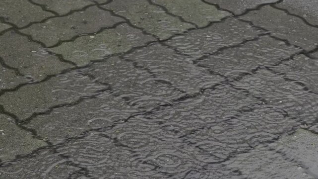 Tokyo, Japan - June 23, 2025: rain dropping on a pool